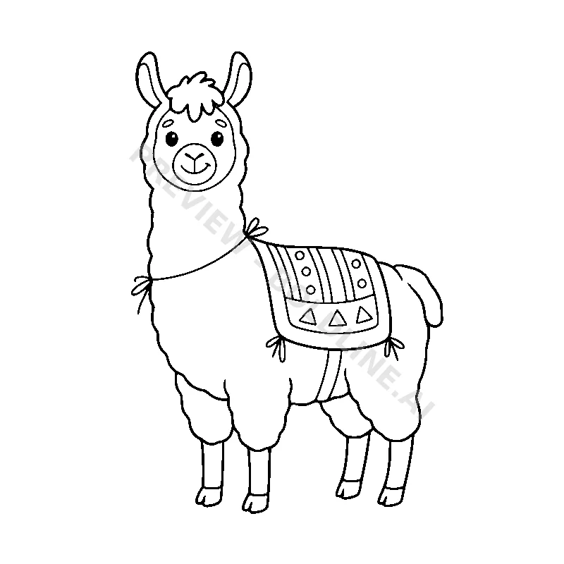 Llama With A Blanket