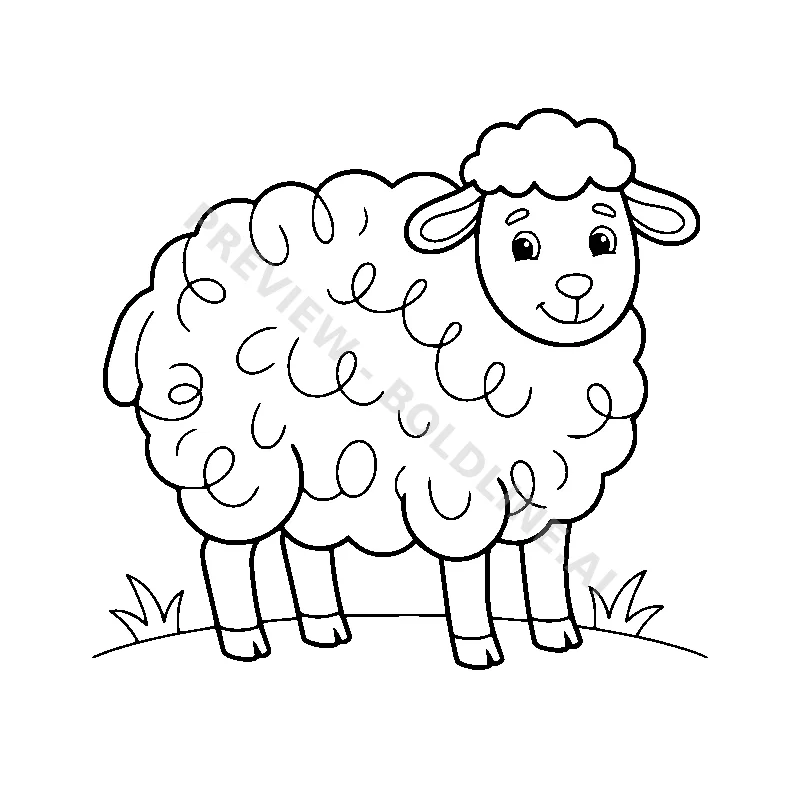 Fluffy Woolly Sheep