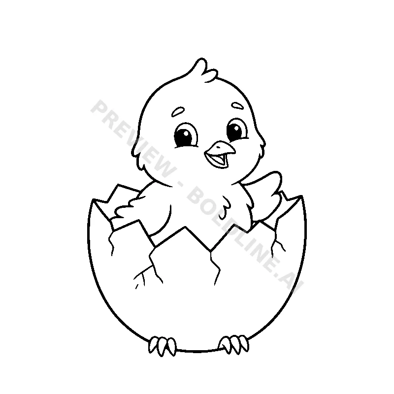 Baby Chick Hatching