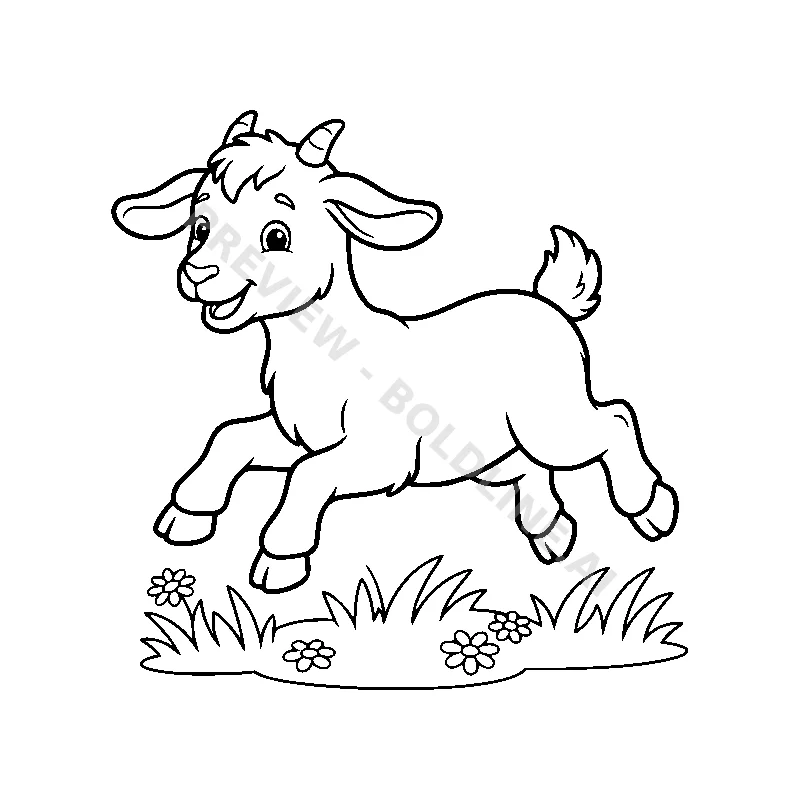 Playful Goat Kid